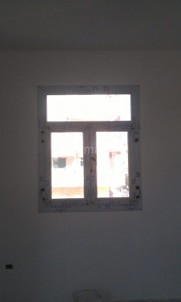 IMAG0211