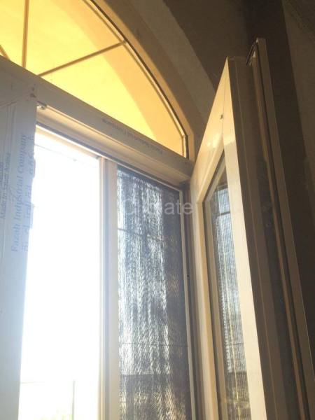 11262134_800631896680622_8298641706132955362_n